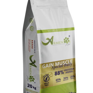 Gain Muscle · Special for Bully · 20kg