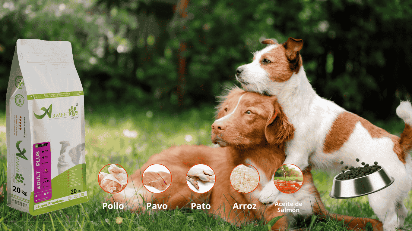 Adult Plus · 20kg - Imagen 2